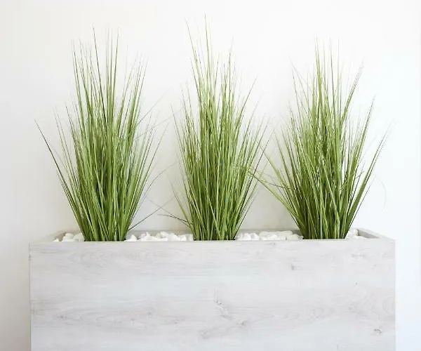 Foter Ii. Apartament